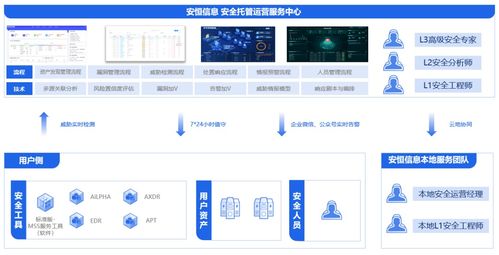 安恒信息領跑中國公有云托管安全服務市場，深化信息系統(tǒng)集成服務優(yōu)勢
